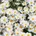 Micheile Henderson R Os Xqv Rzhi Q Unsplash